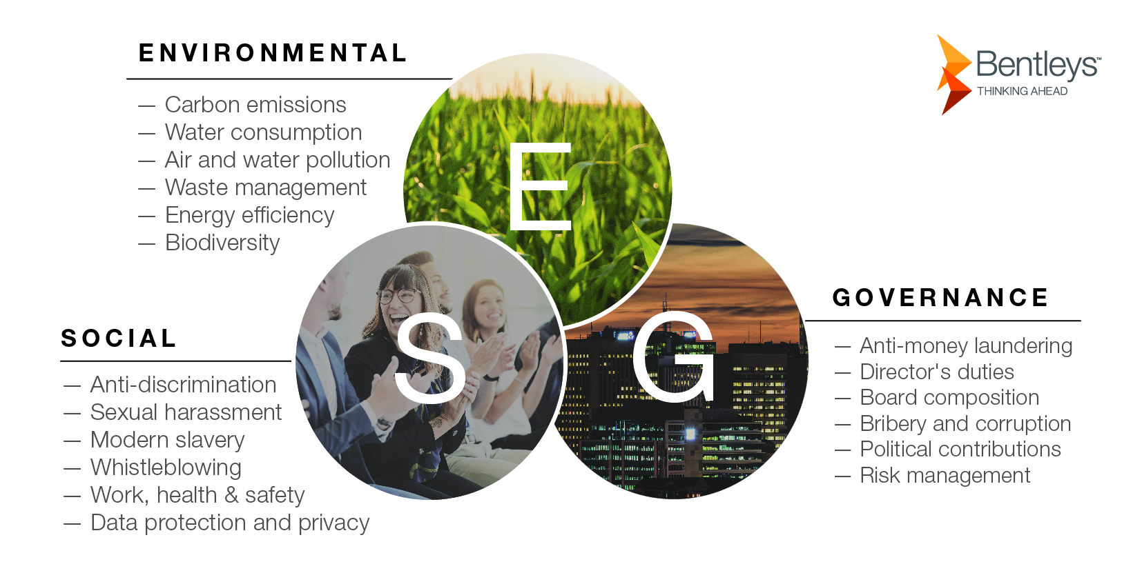 ESG infographic