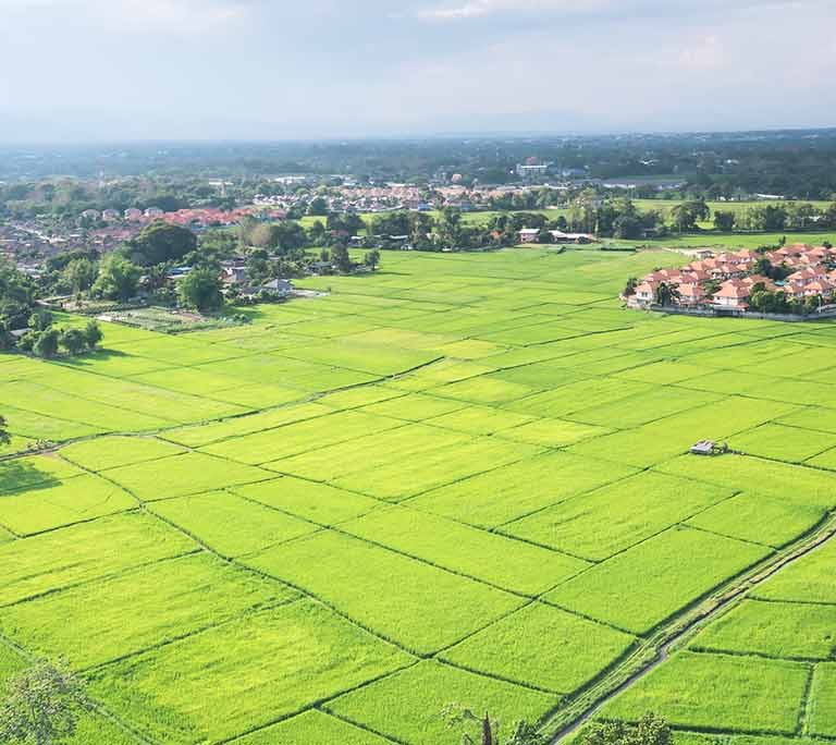 LAND TAX
