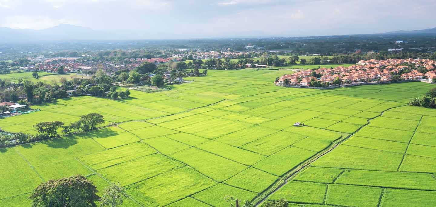 LAND TAX