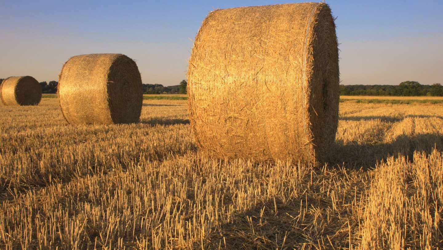 cgt exemptions from selling a farm